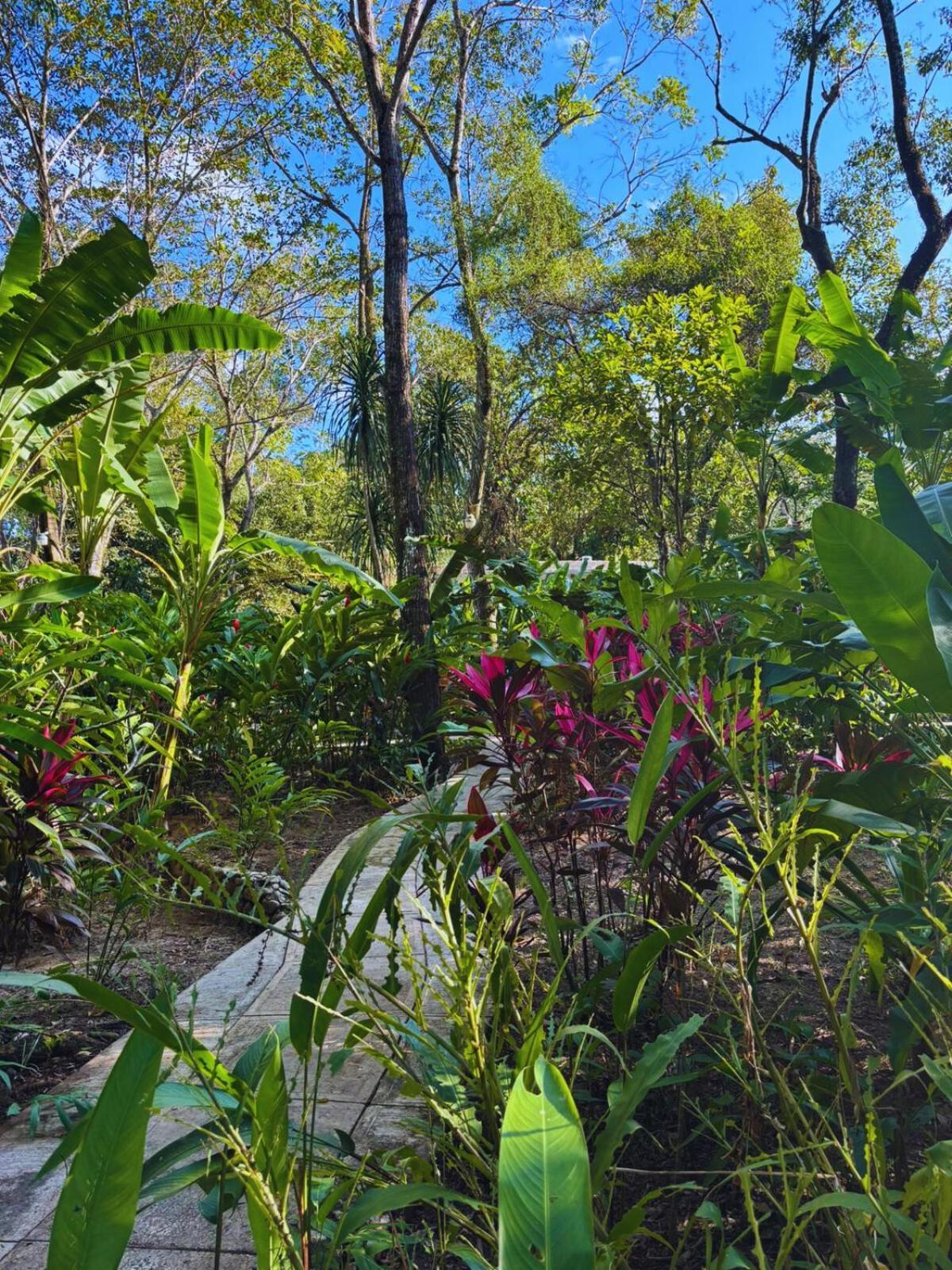 Hotel La Aldea Del Halach Huinic Palenque Extérieur photo